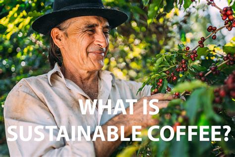 Sustainable Practices in Coffee Shops